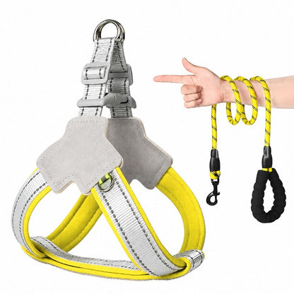 Night Safety Reflective Dog Harness & Leash Walking Kit