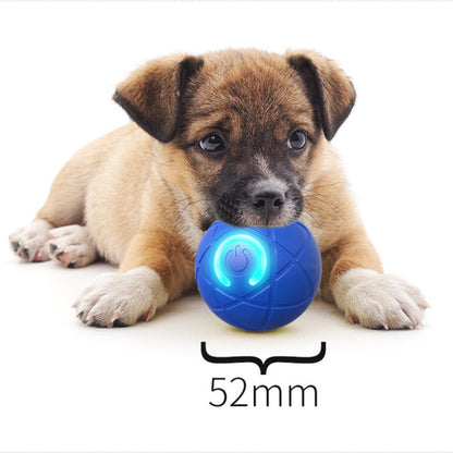 Auto-Bouncing Smart Pet Ball w/ Remote – Chew-Resist E-TPU | USB-C Recharge