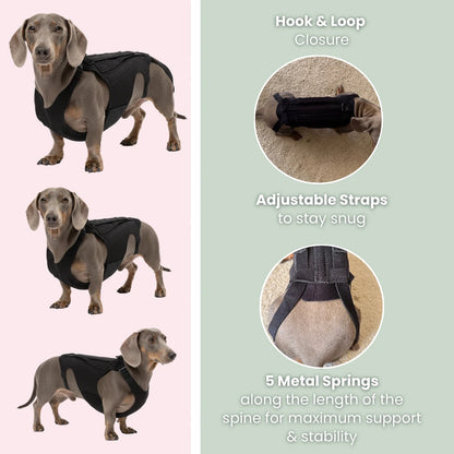Vet-Approved IVDD Back Support Harness for Dachshunds, Corgis & Small Dogs – Pain Relief & Spine Protection