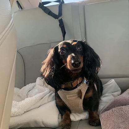 🔥2-in-1 Dog Car Seat Belt & Walking Leash