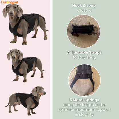 Furongpet™Dog Back Brace for IVDD, Full Support Spinal Brace