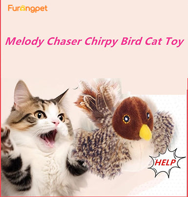 😻Pet Supplies Sale🐾Interactive Chirping Bird Cat Toy✈️