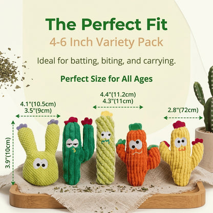 5PC Handmade Soft Cactus Kitten Chew Toys with Natural Catnip