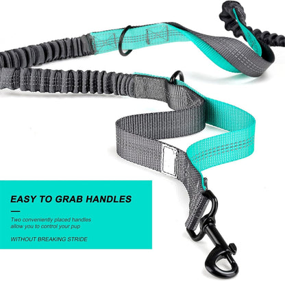 Retractable Hands Free Dog Leash with Dual Bungees for 2 Dogs