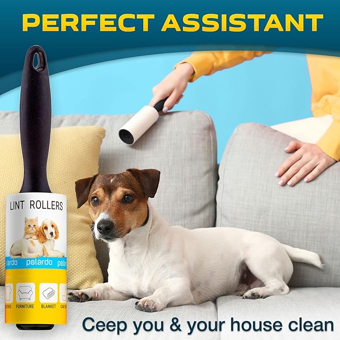 Professional Pet Hair Remover for Furniture & Clothes