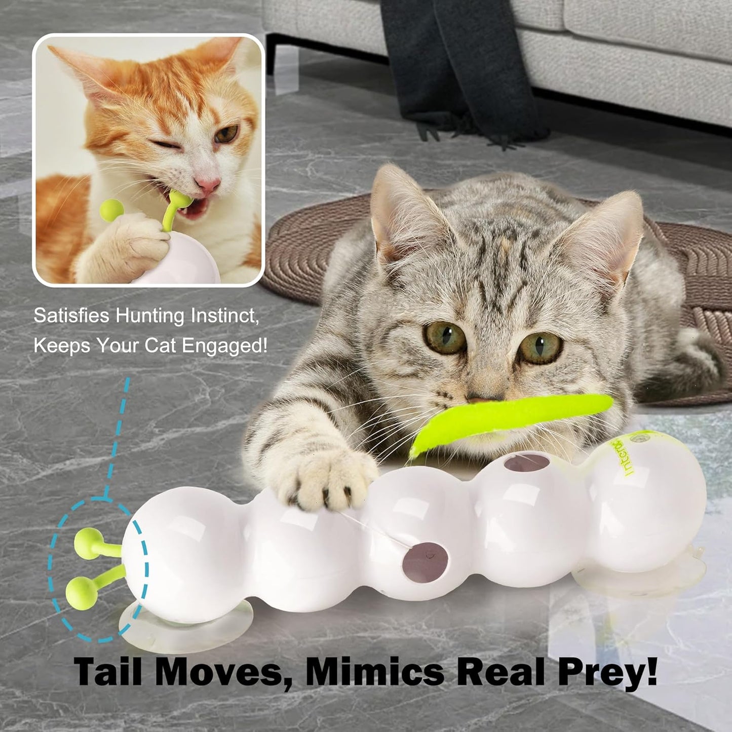 😽Smart Interactive Electric Caterpillar Cat Toy