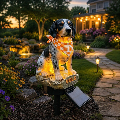 60th Anniversary Enterprise Solar Garden Light
