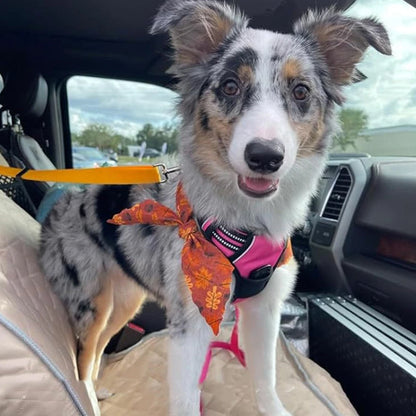 🔥2-in-1 Dog Car Seat Belt & Walking Leash
