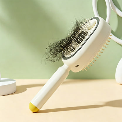 ✨ Electric Spray Air Cushion Massage Hair Comb