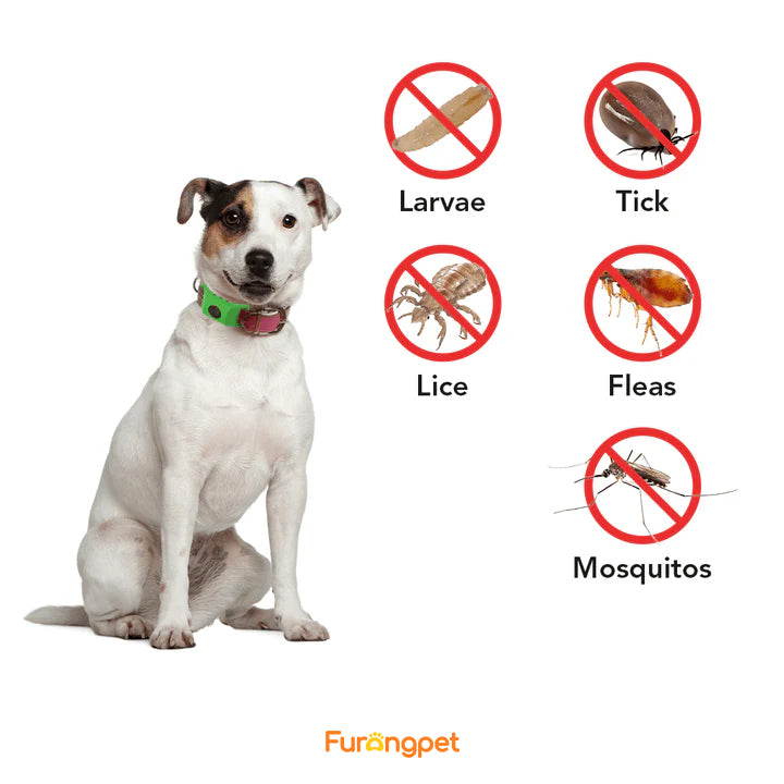 Flea & Tick Collar