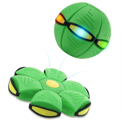 Interactive Dog Flying Saucer Outdoor Toy