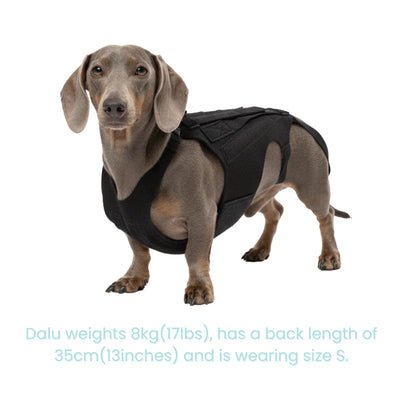 Vet-Approved IVDD Back Support Harness for Dachshunds, Corgis & Small Dogs – Pain Relief & Spine Protection