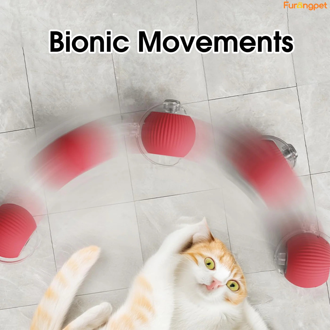 Interactive pet toy ball