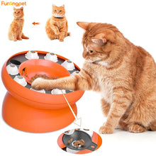 Cat Puzzle Slow Feeder Bowl