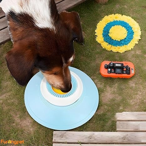 Furongpet™ Anti-Gulping Slow Feeder Dog Bowl