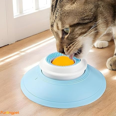 Interactive Slow Feeder for Cats and Dogs