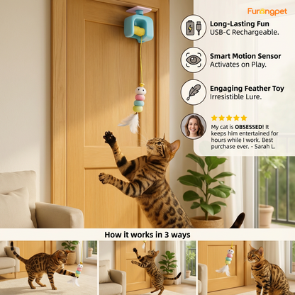 Interactive door yo-yo cat toy with self-play function