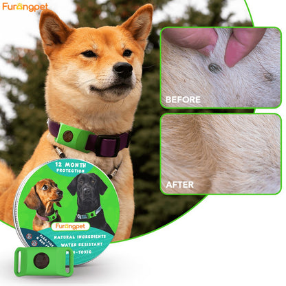 Flea & Tick Collar