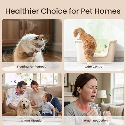 Furongpet™ Home Pet Fur & Odor Removal Magic Box