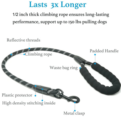 Dual Dog Leash – Shock‑Absorbing & No‑Tangle