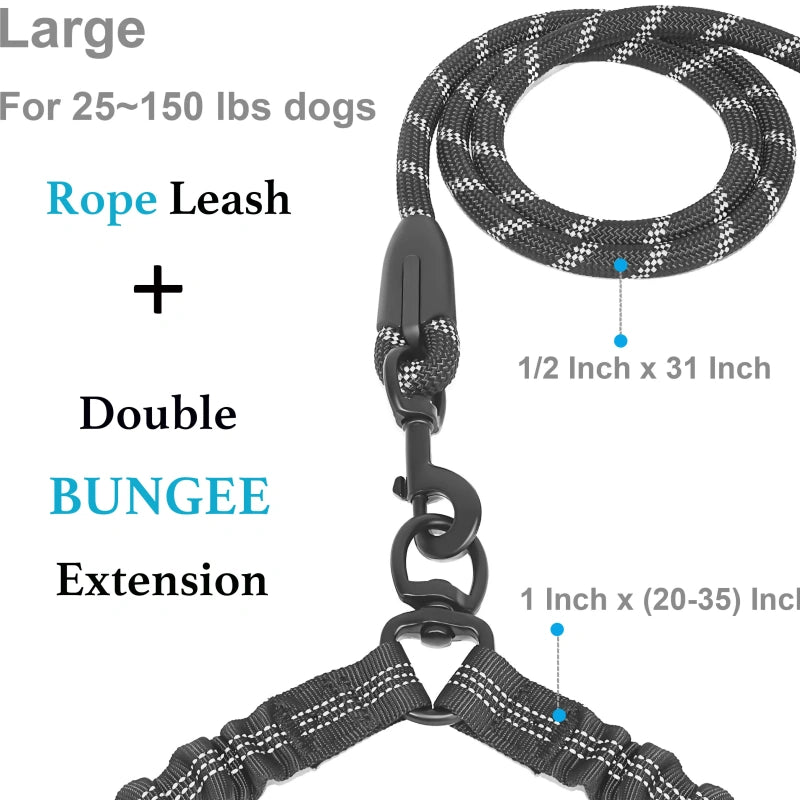 Dual Dog Leash – Shock‑Absorbing & No‑Tangle