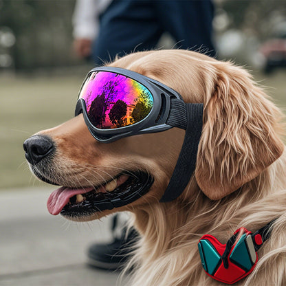 Dog Goggles – UV, Wind and Dust Protection, Fashion and Safety Accessory
