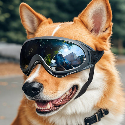 Dog Goggles – UV, Wind and Dust Protection, Fashion and Safety Accessory