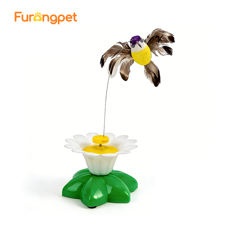 Electric bird teasing cat toy