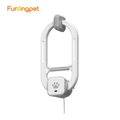 Interactive Electric Cat Teaser Spin Bounce Toy for Indoor Cats