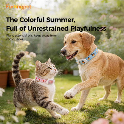 Furongpet™ Natural Flea & Tick Collar – Long-Lasting Protection