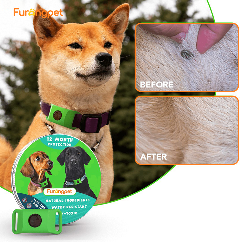 Natural Flea and Tick Collar 12 Months Waterproof Protection