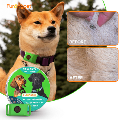 Natural Flea and Tick Collar 12 Months Waterproof Protection