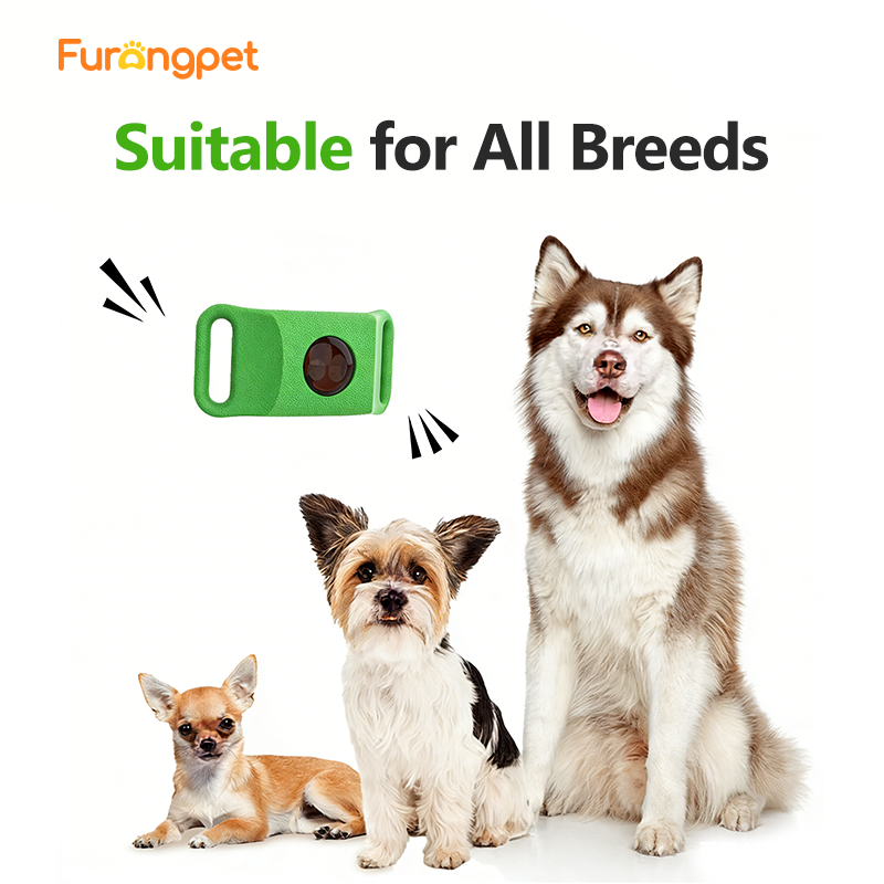 Natural Flea and Tick Collar 12 Months Waterproof Protection