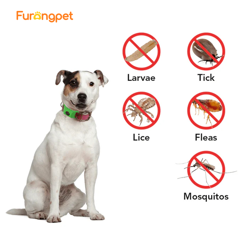 Natural Flea and Tick Collar 12 Months Waterproof Protection