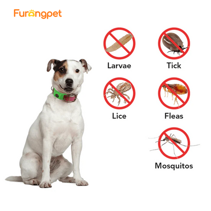 Natural Flea and Tick Collar 12 Months Waterproof Protection