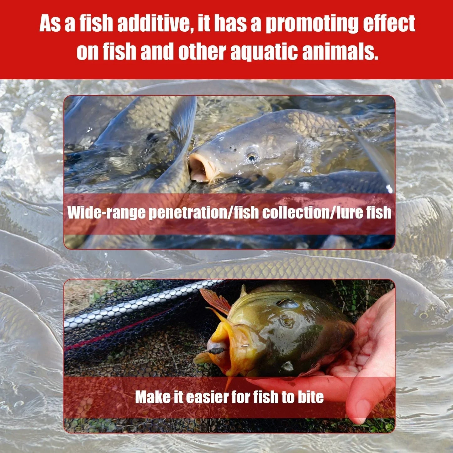 🎣Concentrated Red Worm Fishing Attractant – Draw More Fish, Faster Bites