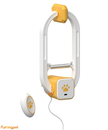 Interactive Electric Cat Teaser Spin Bounce Toy for Indoor Cats