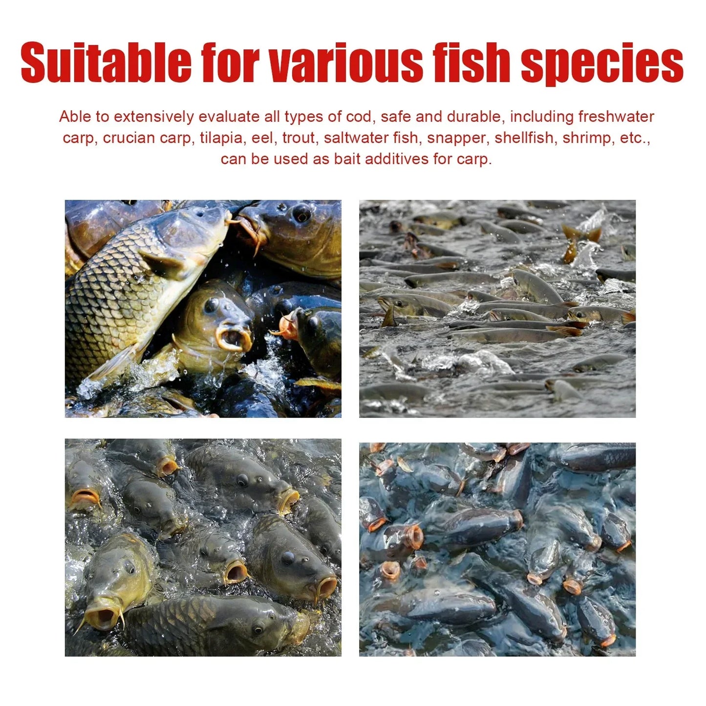 🎣Concentrated Red Worm Fishing Attractant – Draw More Fish, Faster Bites