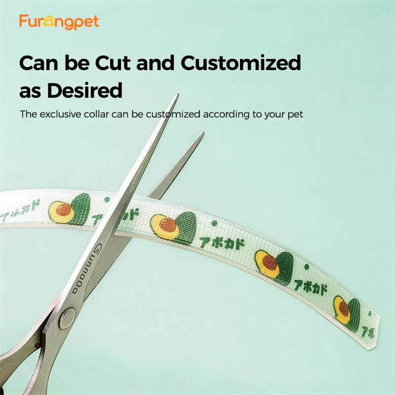 Furongpet™ Natural Flea & Tick Collar – Long-Lasting Protection