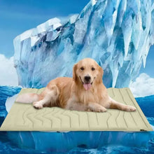 Furongpet™ Eco-Friendly Gel-Free Cooling Mat for Pets