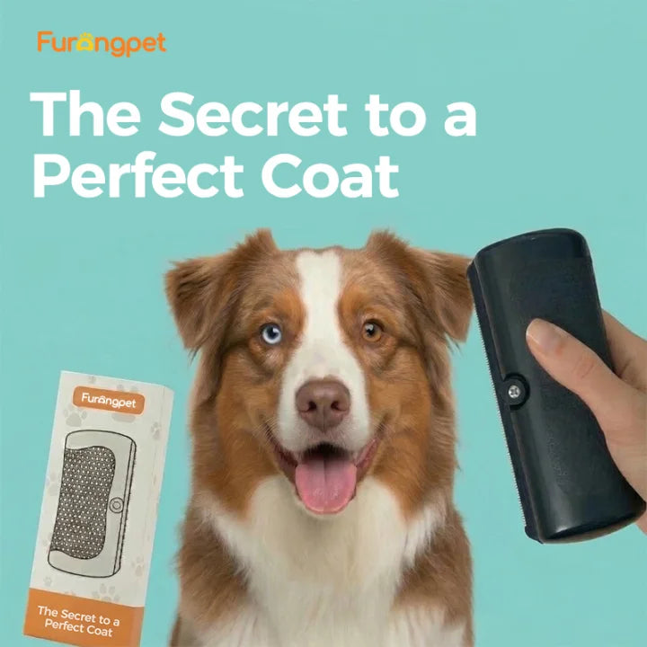 Pet Deshedding Brush – Remove Loose Fur in Minutes
