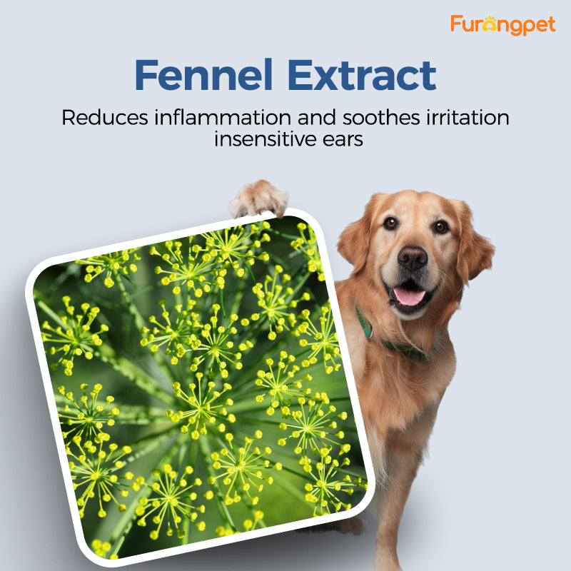 natural dog ear cleaner 
