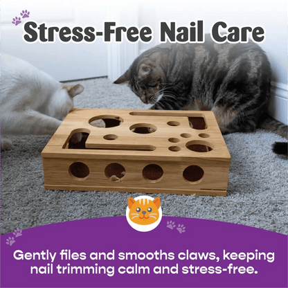Furongpet™ Cat Scratch Puzzle Nail File Box
