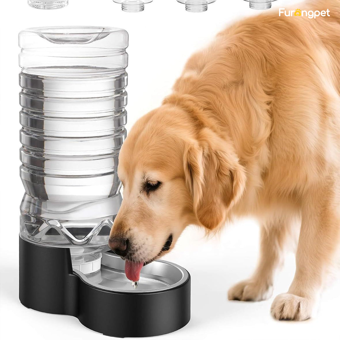12 L ( 3.17 gal)Automatic Dog Water Dispenser
