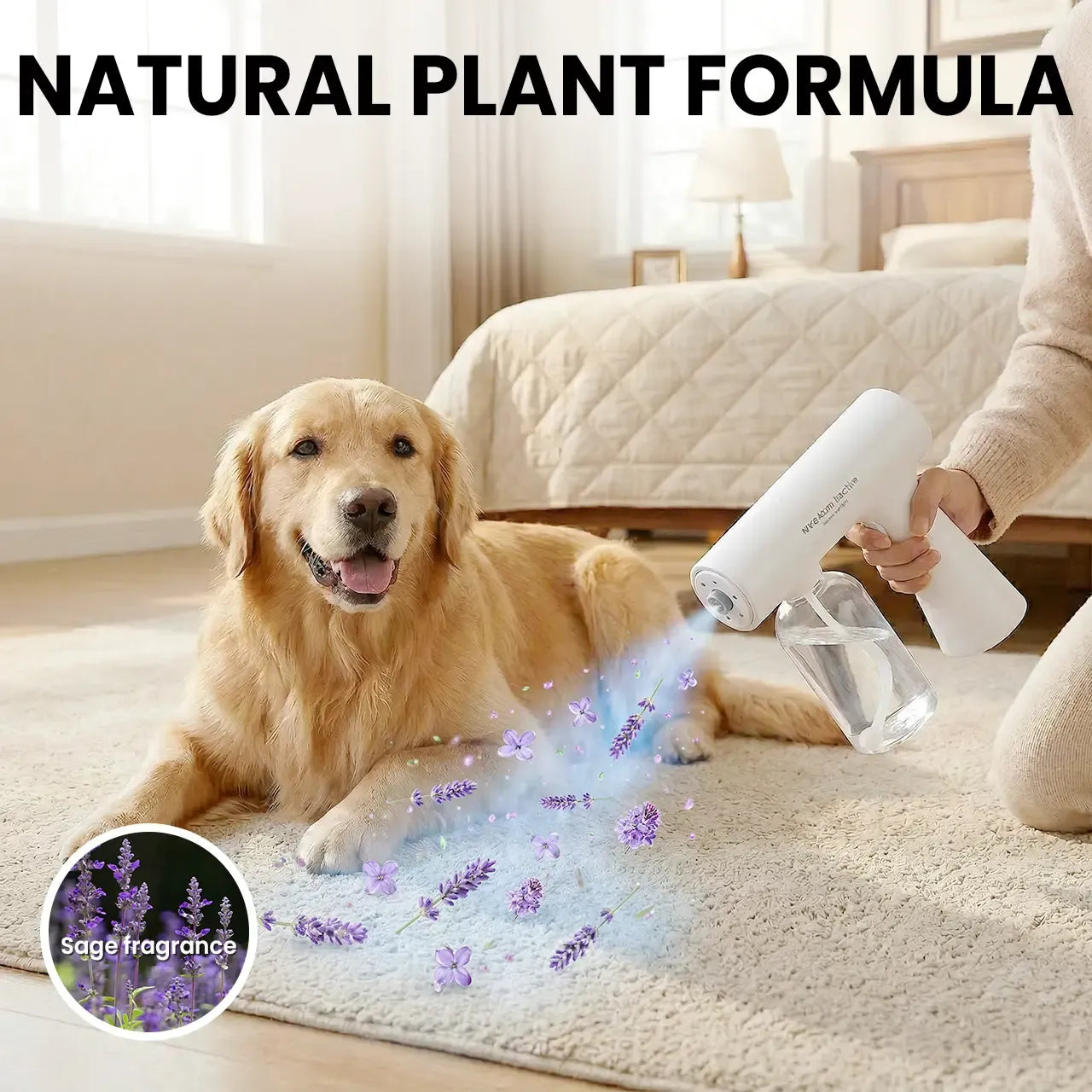 Powerful Pet Odor Eliminator Spray Gun 150ml