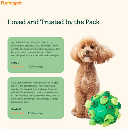 Furongpet™ Interactive Foraging Ball for Dogs