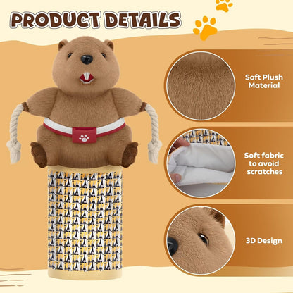 Furongpet™ Wall-Mounted Cat Scratching Pad with Toy Mouse