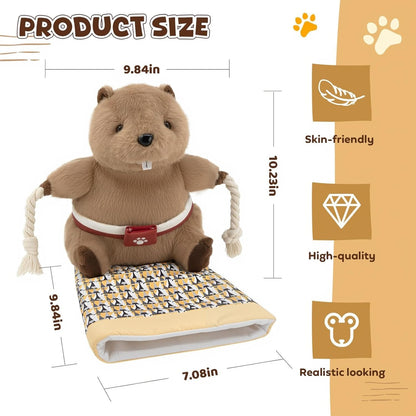 Furongpet™ Wall-Mounted Cat Scratching Pad with Toy Mouse