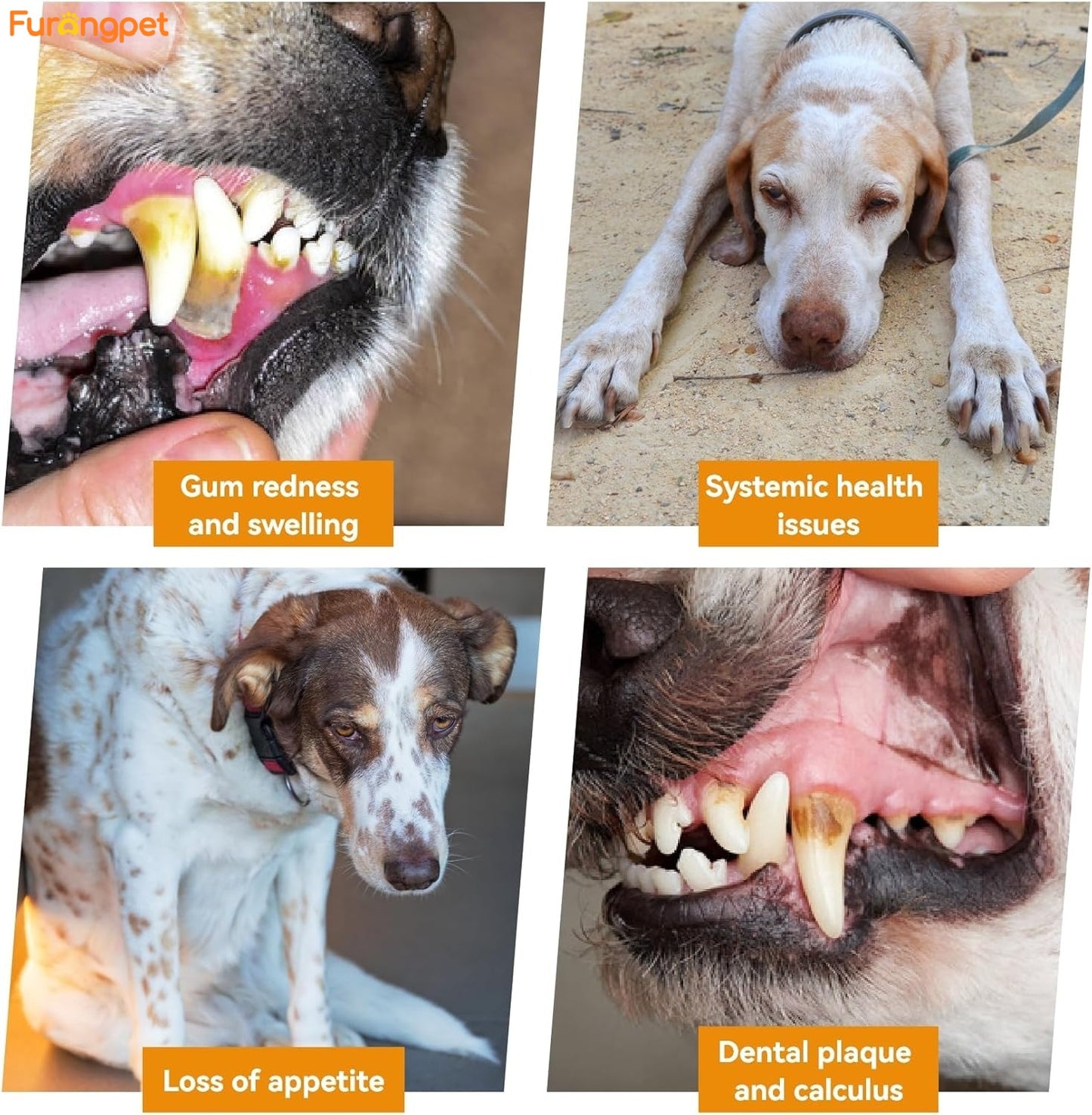 Furongpet™ Electric Pet Tooth Cleaner for Dogs & Cats