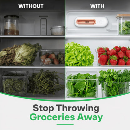 Keep Food Fresh 4x Longer & Slash Your Grocery Bills